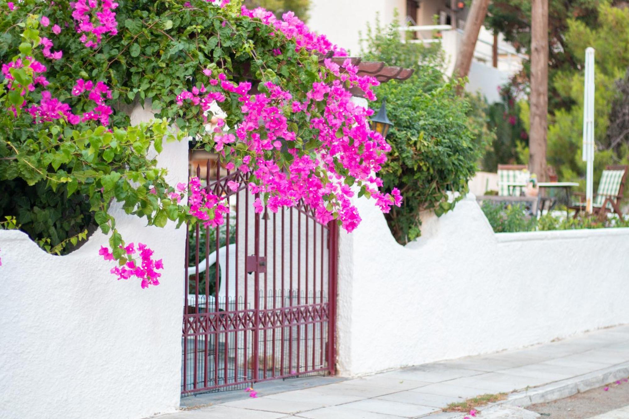 Seaview Apartment - Poros Relaxing Beachfront Flat Poros Town Exterior foto